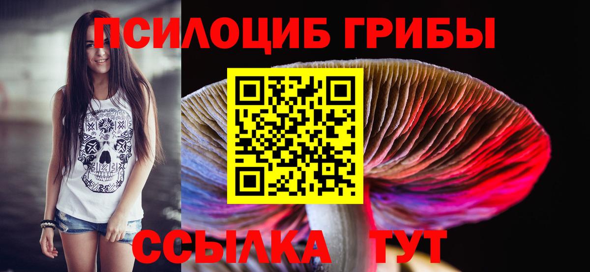 даркнет сайт  Вход с VPN  Десногорск  Псилоцибиновые грибы GOLDEN TEACHER  Псилоцибиновые грибы мухоморы 